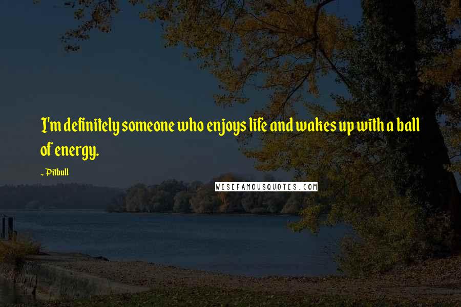 Pitbull Quotes: I'm definitely someone who enjoys life and wakes up with a ball of energy.