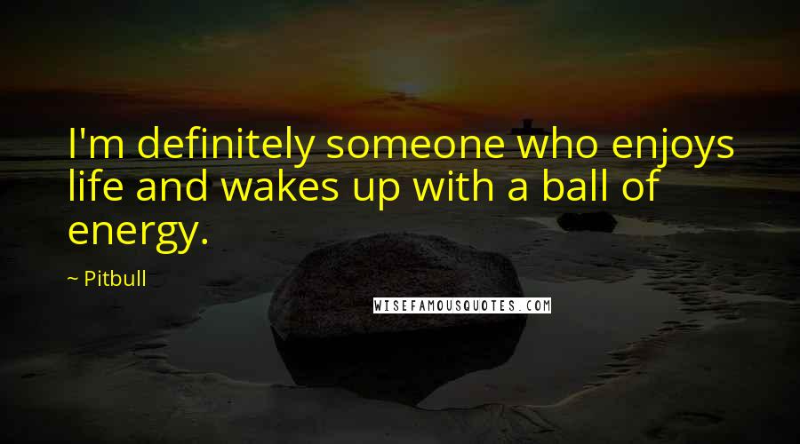 Pitbull Quotes: I'm definitely someone who enjoys life and wakes up with a ball of energy.