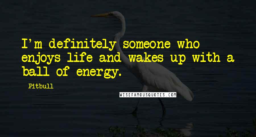 Pitbull Quotes: I'm definitely someone who enjoys life and wakes up with a ball of energy.