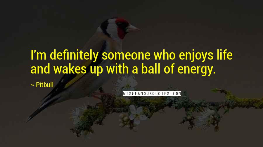 Pitbull Quotes: I'm definitely someone who enjoys life and wakes up with a ball of energy.
