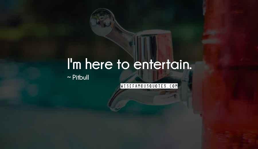 Pitbull Quotes: I'm here to entertain.