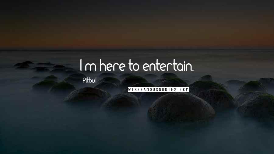 Pitbull Quotes: I'm here to entertain.
