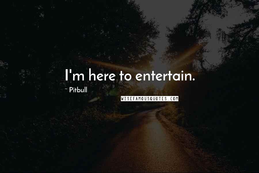 Pitbull Quotes: I'm here to entertain.