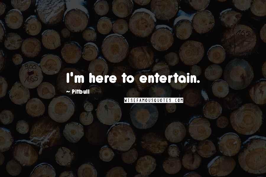 Pitbull Quotes: I'm here to entertain.