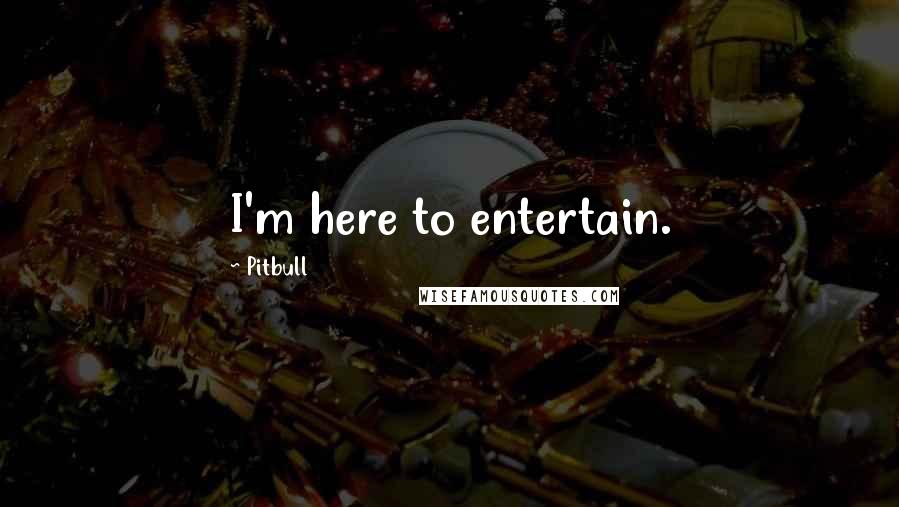 Pitbull Quotes: I'm here to entertain.