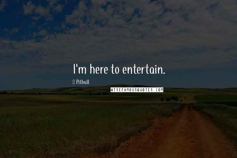 Pitbull Quotes: I'm here to entertain.