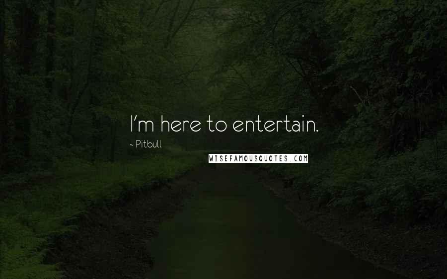 Pitbull Quotes: I'm here to entertain.
