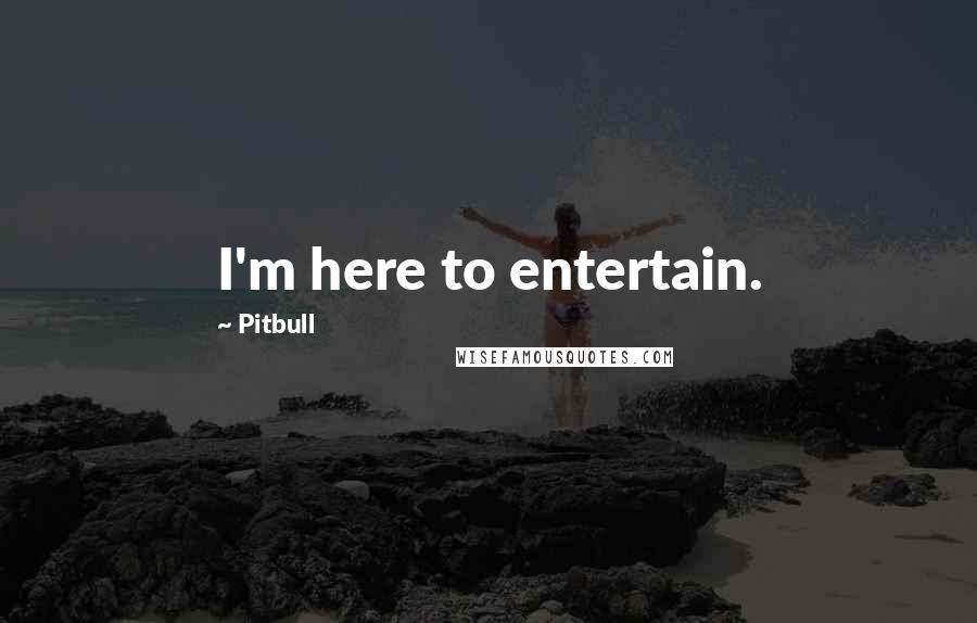 Pitbull Quotes: I'm here to entertain.