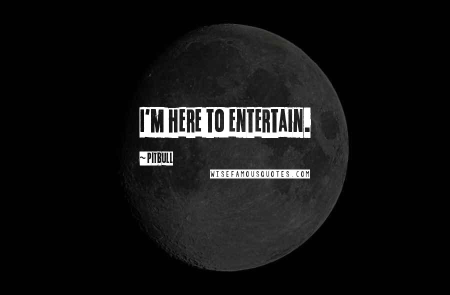 Pitbull Quotes: I'm here to entertain.