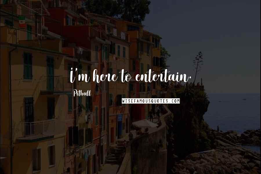 Pitbull Quotes: I'm here to entertain.