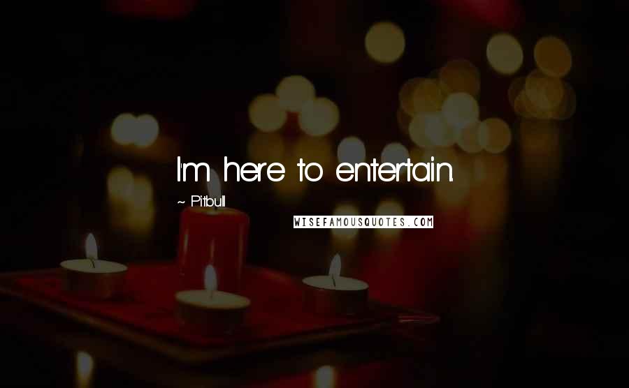 Pitbull Quotes: I'm here to entertain.