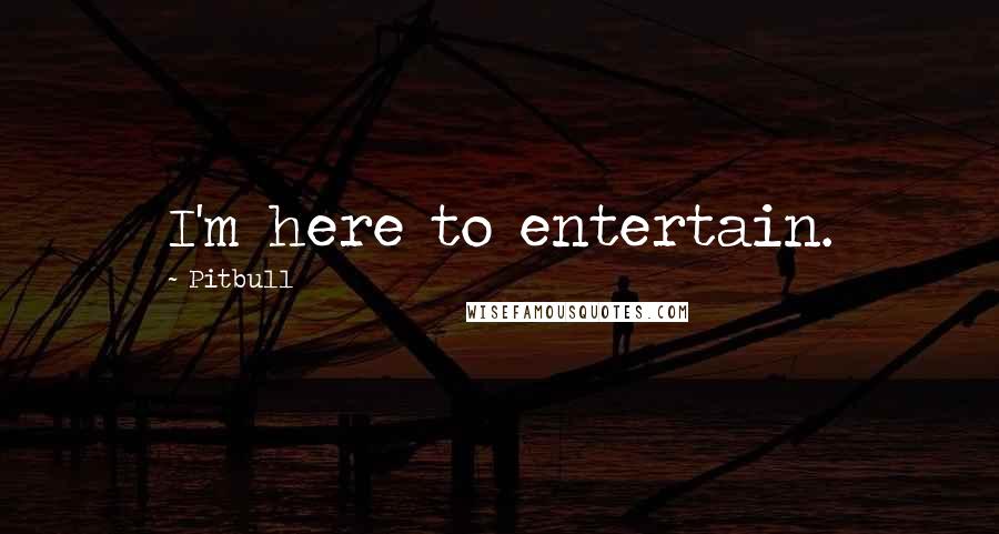 Pitbull Quotes: I'm here to entertain.