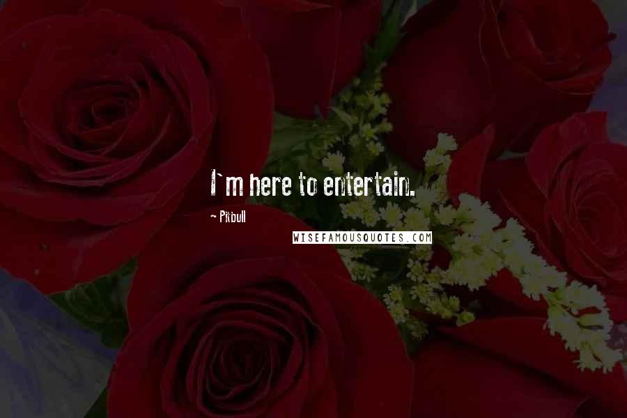 Pitbull Quotes: I'm here to entertain.