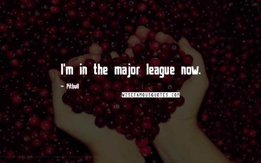 Pitbull Quotes: I'm in the major league now.
