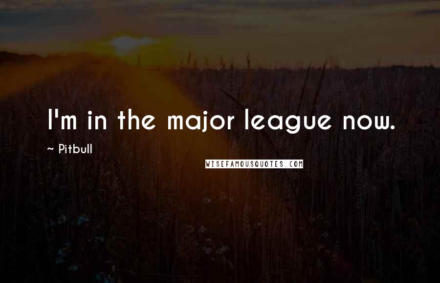 Pitbull Quotes: I'm in the major league now.