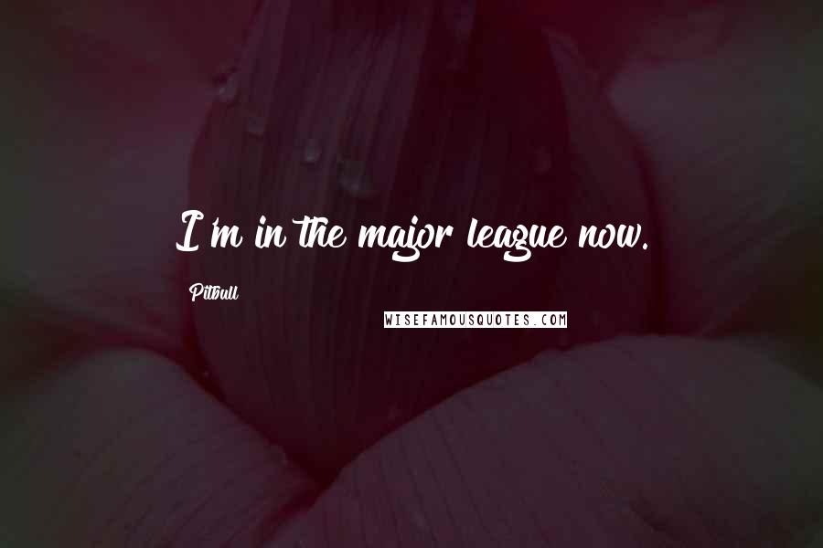 Pitbull Quotes: I'm in the major league now.