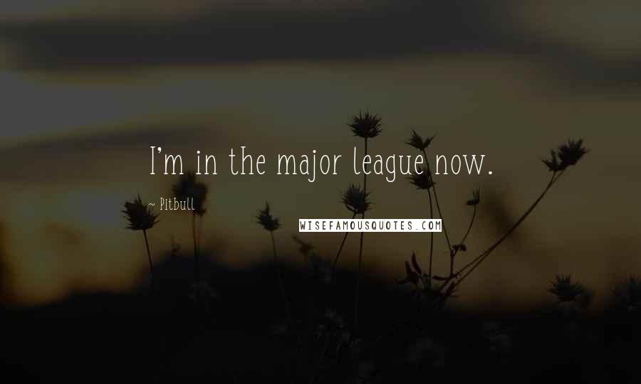 Pitbull Quotes: I'm in the major league now.