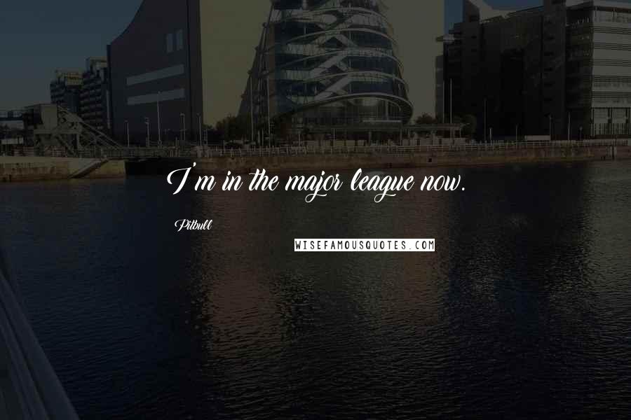 Pitbull Quotes: I'm in the major league now.