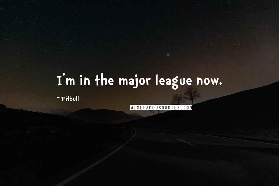 Pitbull Quotes: I'm in the major league now.