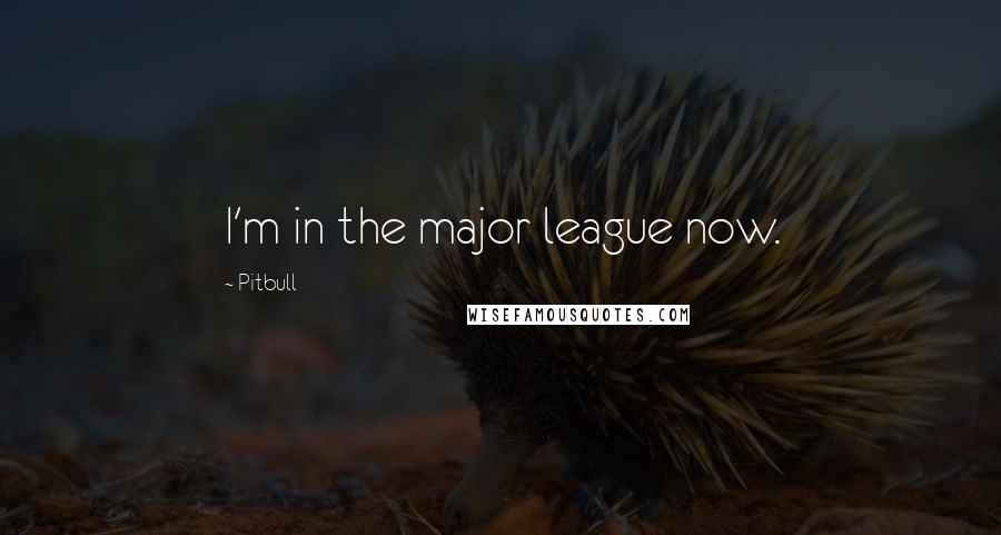 Pitbull Quotes: I'm in the major league now.