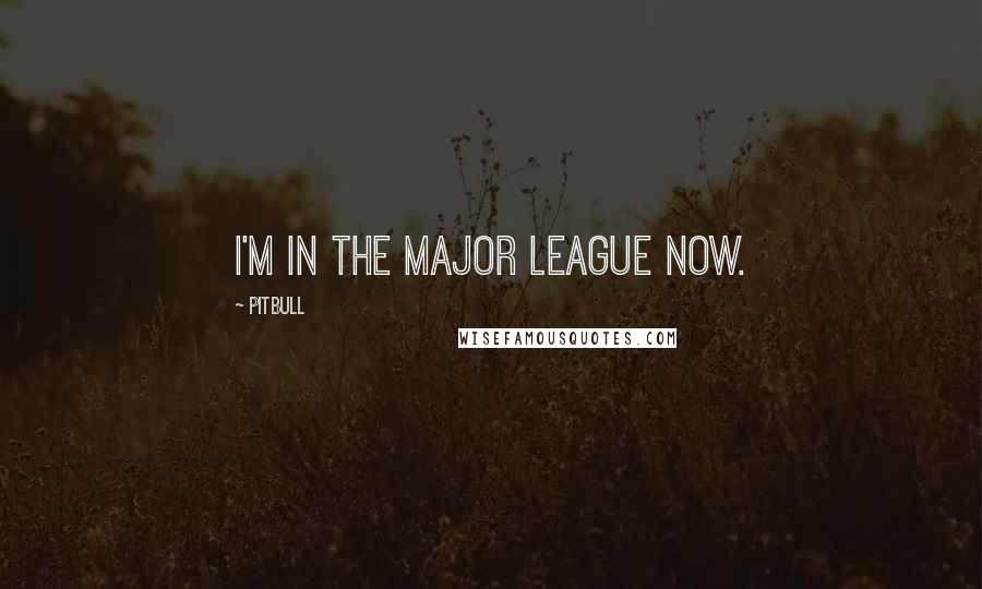 Pitbull Quotes: I'm in the major league now.