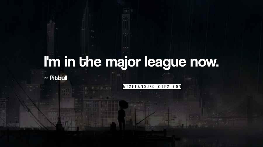 Pitbull Quotes: I'm in the major league now.