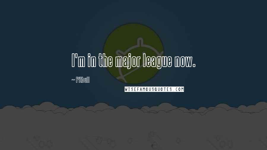 Pitbull Quotes: I'm in the major league now.