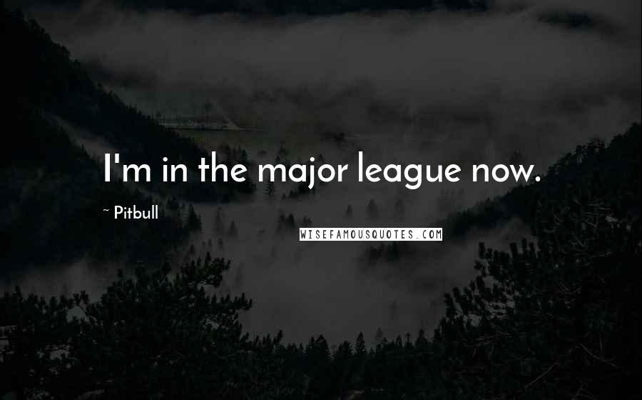 Pitbull Quotes: I'm in the major league now.