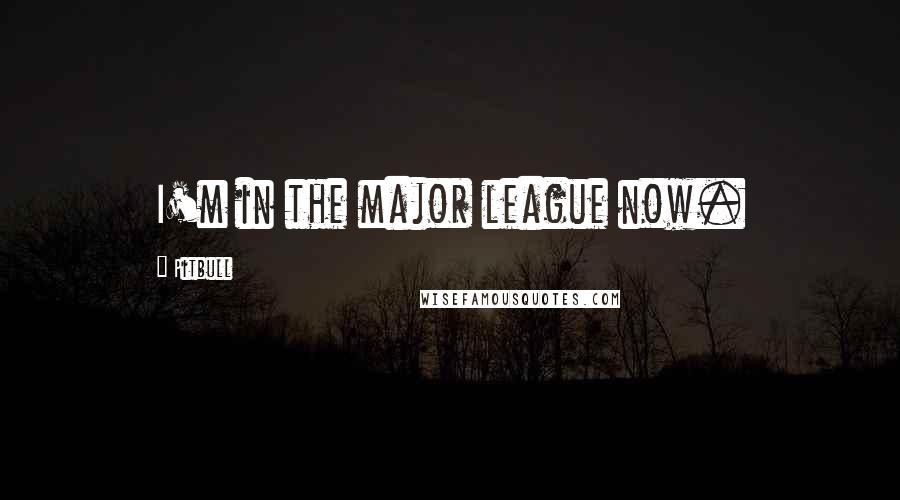 Pitbull Quotes: I'm in the major league now.