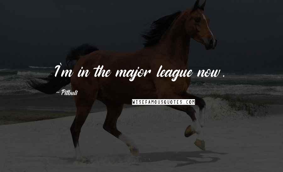 Pitbull Quotes: I'm in the major league now.