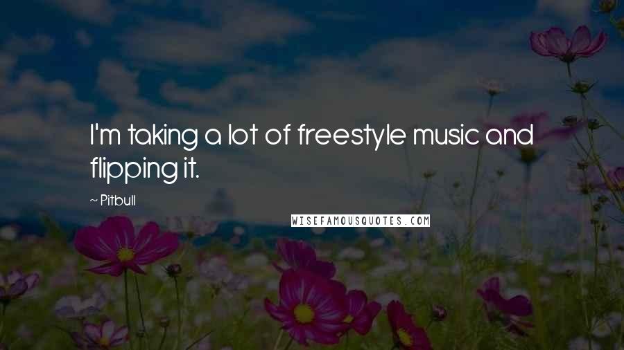 Pitbull Quotes: I'm taking a lot of freestyle music and flipping it.