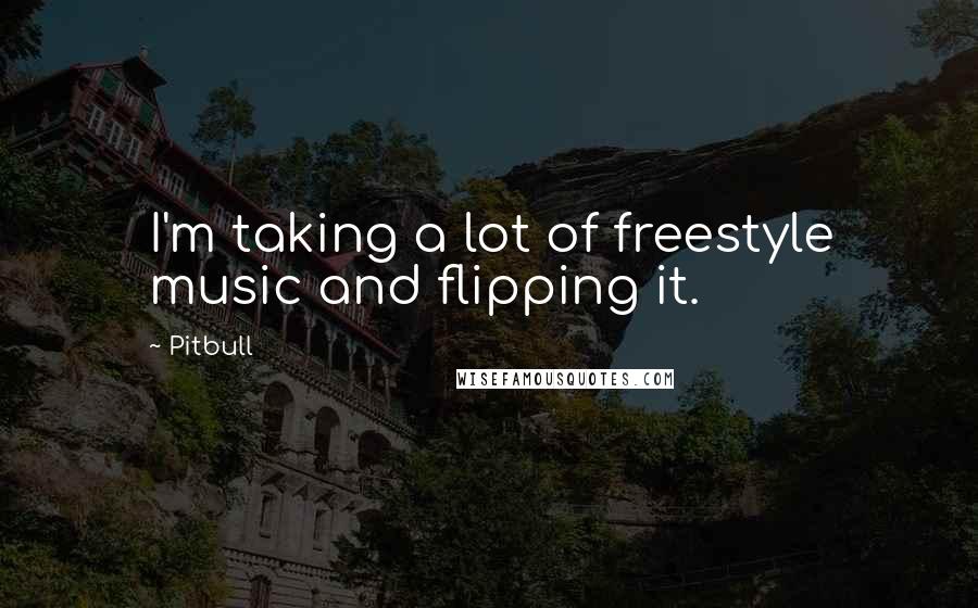 Pitbull Quotes: I'm taking a lot of freestyle music and flipping it.
