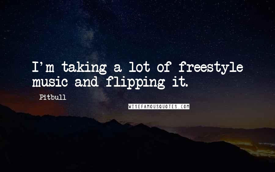 Pitbull Quotes: I'm taking a lot of freestyle music and flipping it.