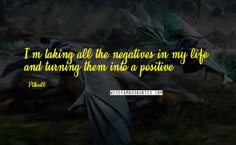 Pitbull Quotes: I'm taking all the negatives in my life, and turning them into a positive.
