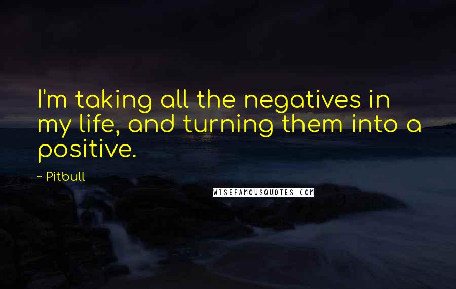Pitbull Quotes: I'm taking all the negatives in my life, and turning them into a positive.