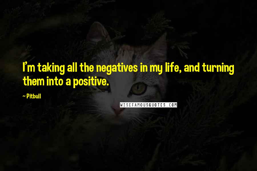 Pitbull Quotes: I'm taking all the negatives in my life, and turning them into a positive.