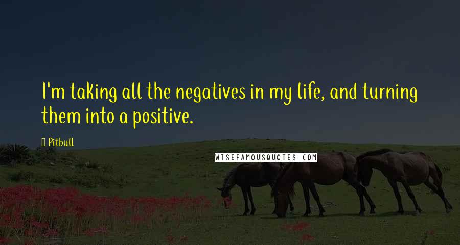 Pitbull Quotes: I'm taking all the negatives in my life, and turning them into a positive.
