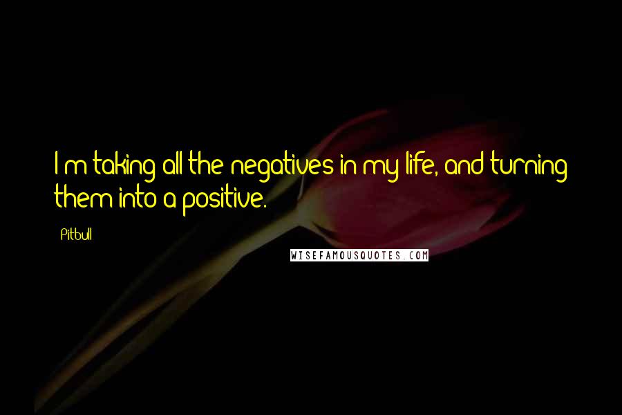 Pitbull Quotes: I'm taking all the negatives in my life, and turning them into a positive.