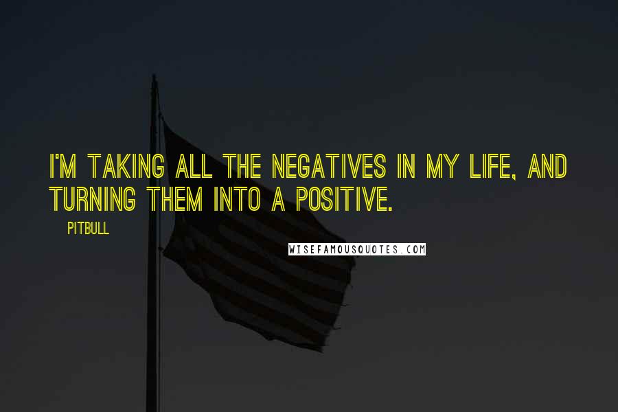 Pitbull Quotes: I'm taking all the negatives in my life, and turning them into a positive.