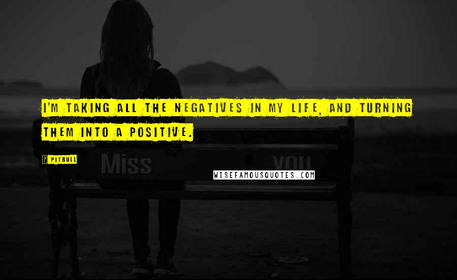 Pitbull Quotes: I'm taking all the negatives in my life, and turning them into a positive.