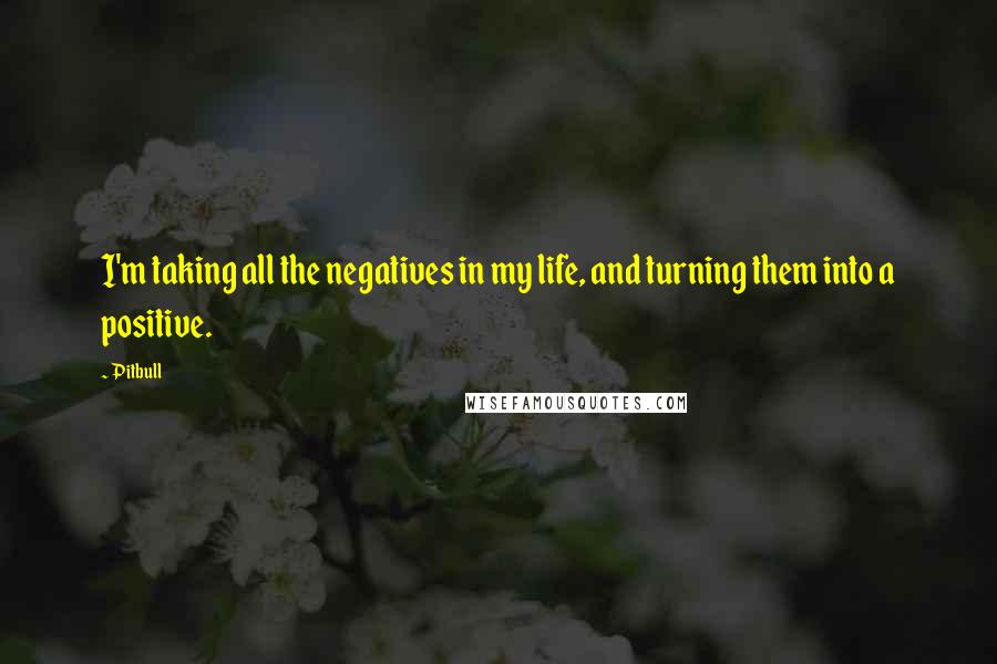Pitbull Quotes: I'm taking all the negatives in my life, and turning them into a positive.