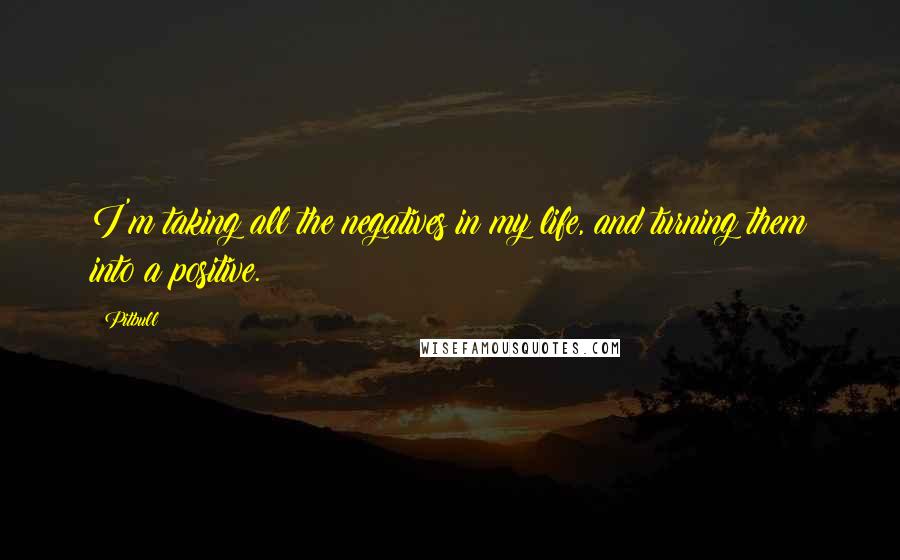 Pitbull Quotes: I'm taking all the negatives in my life, and turning them into a positive.