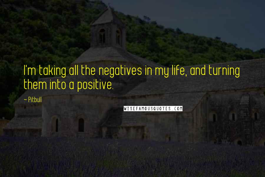 Pitbull Quotes: I'm taking all the negatives in my life, and turning them into a positive.