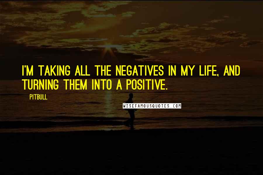 Pitbull Quotes: I'm taking all the negatives in my life, and turning them into a positive.