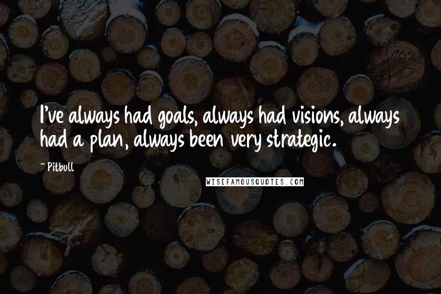 Pitbull Quotes: I've always had goals, always had visions, always had a plan, always been very strategic.