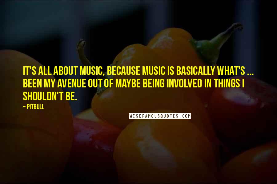 Pitbull Quotes: It's all about music, because music is basically what's ... been my avenue out of maybe being involved in things I shouldn't be.