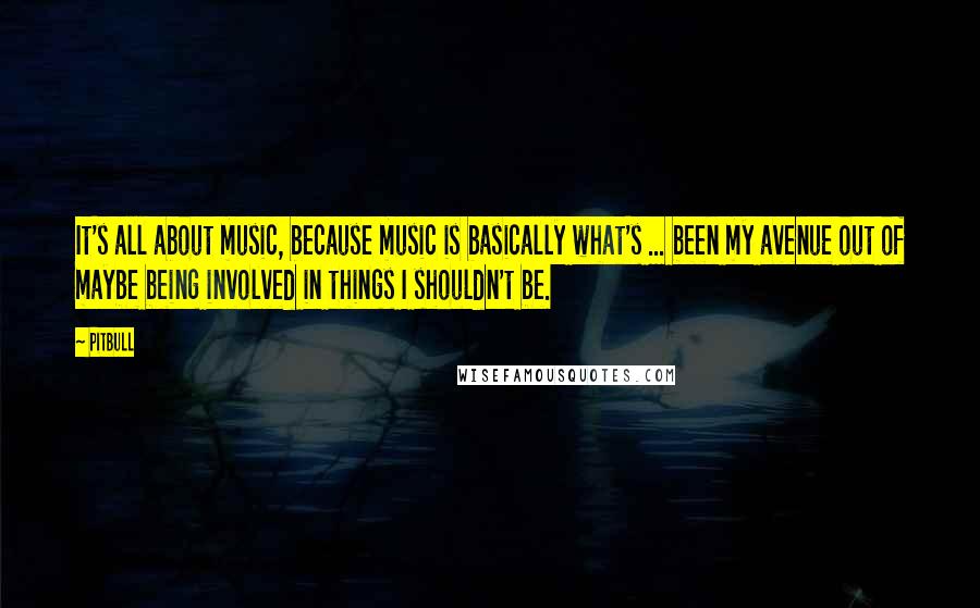 Pitbull Quotes: It's all about music, because music is basically what's ... been my avenue out of maybe being involved in things I shouldn't be.