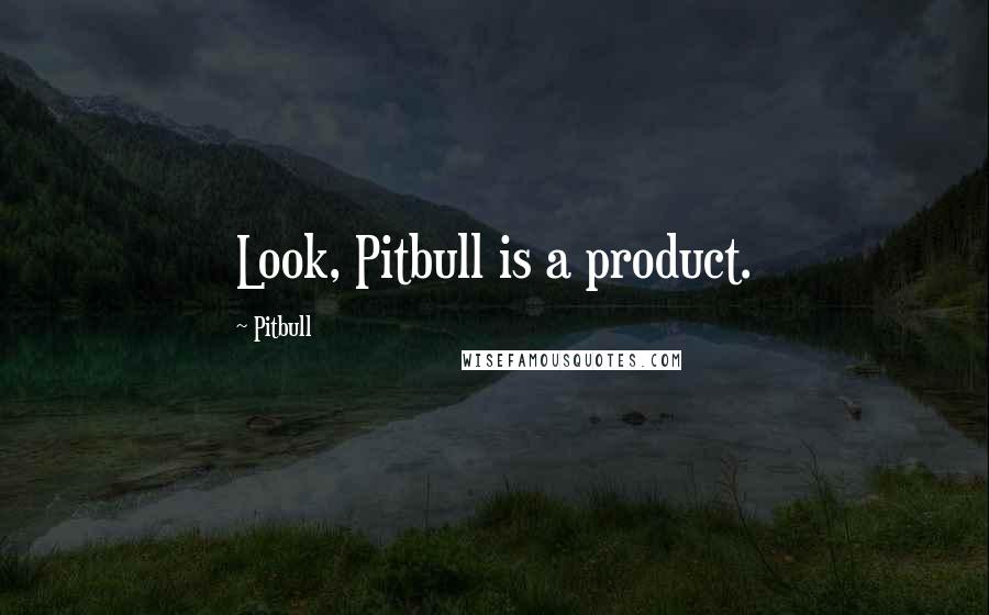 Pitbull Quotes: Look, Pitbull is a product.