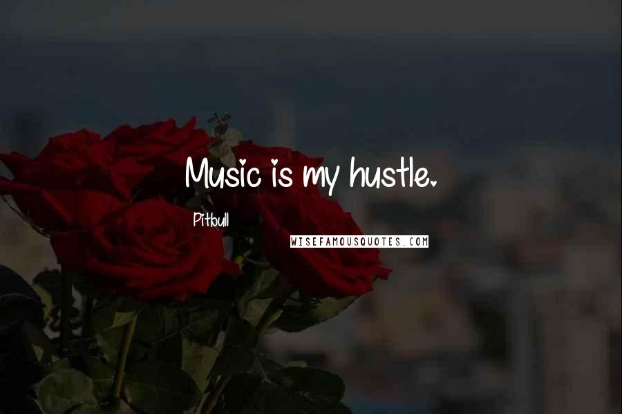 Pitbull Quotes: Music is my hustle.