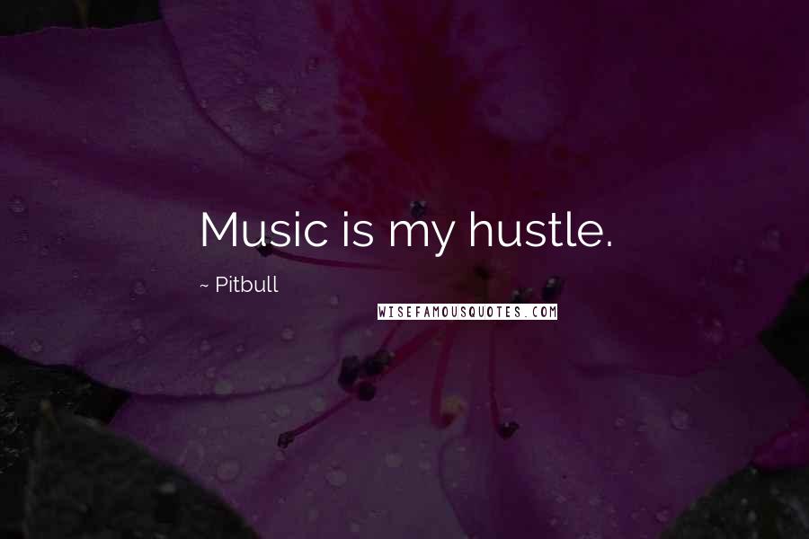 Pitbull Quotes: Music is my hustle.